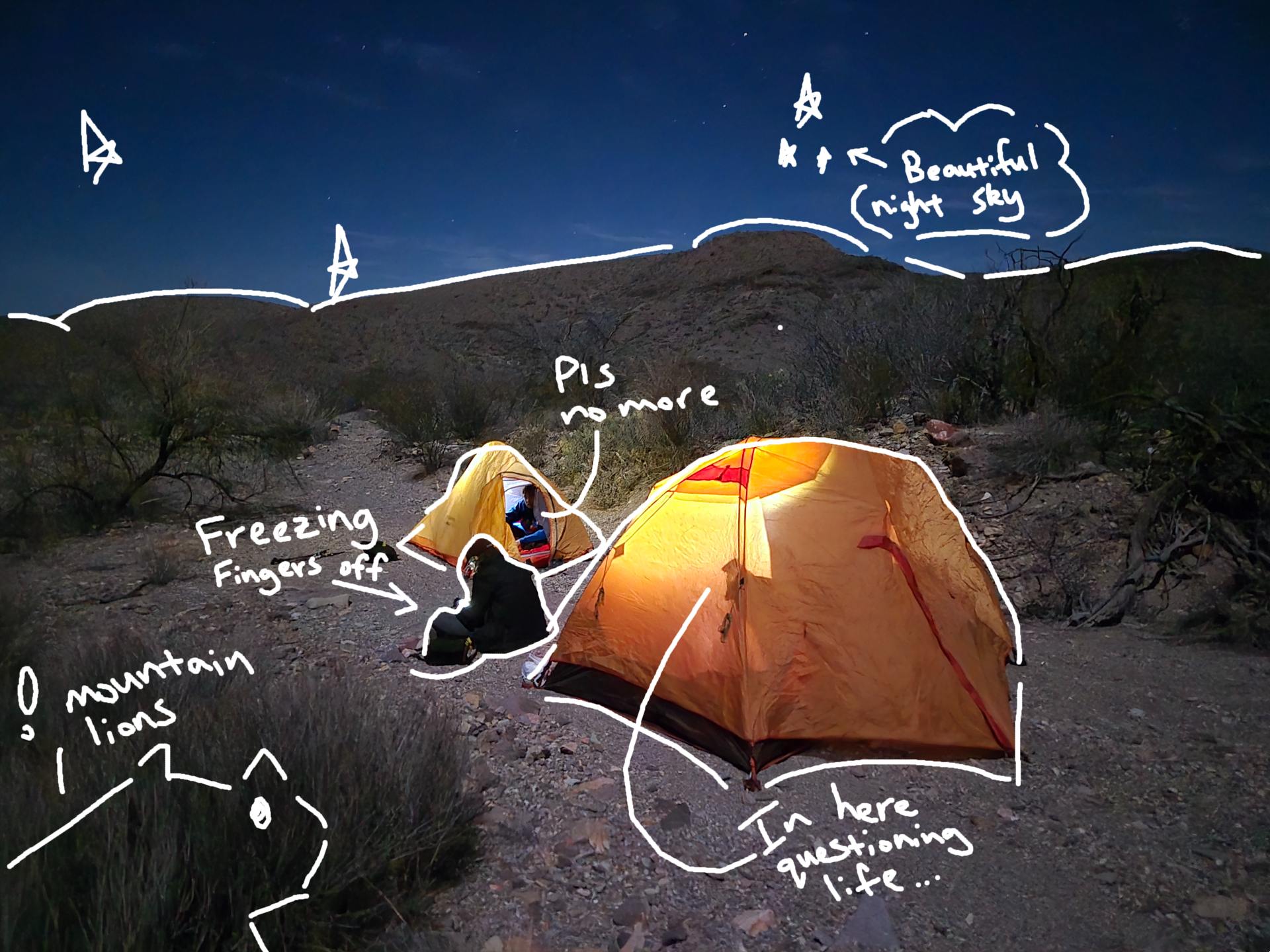 What If You Have Multiple Conflicting Interests?